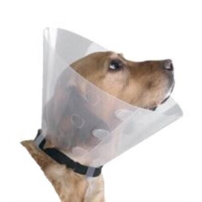 Halskragen, Trichtergrösse 10 cm, 10 Stück