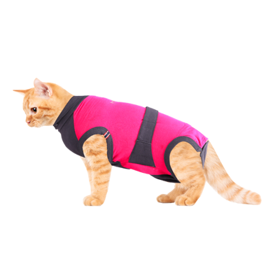 Medical Vet Body MAXX Katze, Grösse S, Länge 44 - 51cm,