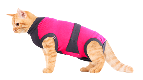 Medical Vet Body MAXX Katze, Grösse XS, Länge 41 - 45cm,