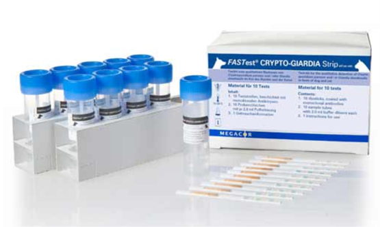 Megacor FASTest CRYPTO-Giardia Strip, 10 Teststreifen