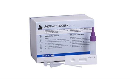 Megacor FASTest ENCEPH / 25 Testkasetten