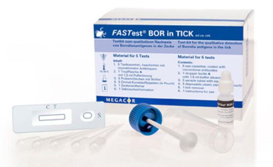 Megacor FASTest BOR in Zecke, 5 Tests