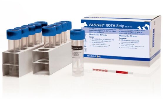 Megacor FASTest ROTA Strip, 1 Testkit mit 10 Teststreifen