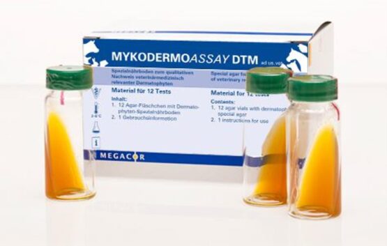 Megacor MYKODERMOASSAY DTM, Dermatophyten Test, 12 Stück